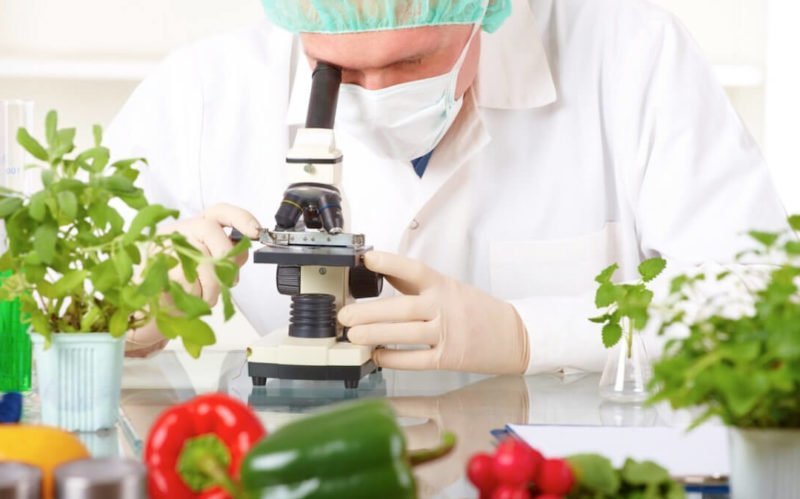 Новый техрегламент для сертификации продуктов питания